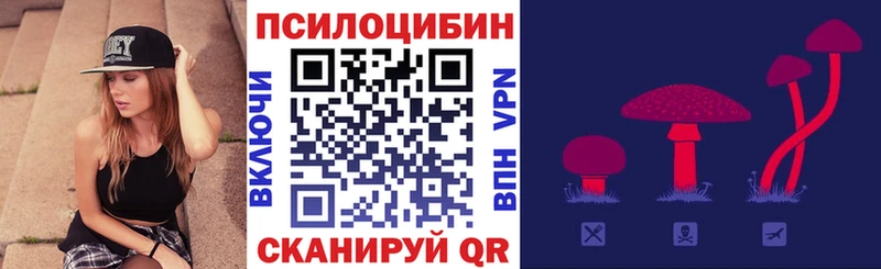 гидра ССЫЛКА  где найти наркотики  Эртиль  Псилоцибиновые грибы GOLDEN TEACHER 